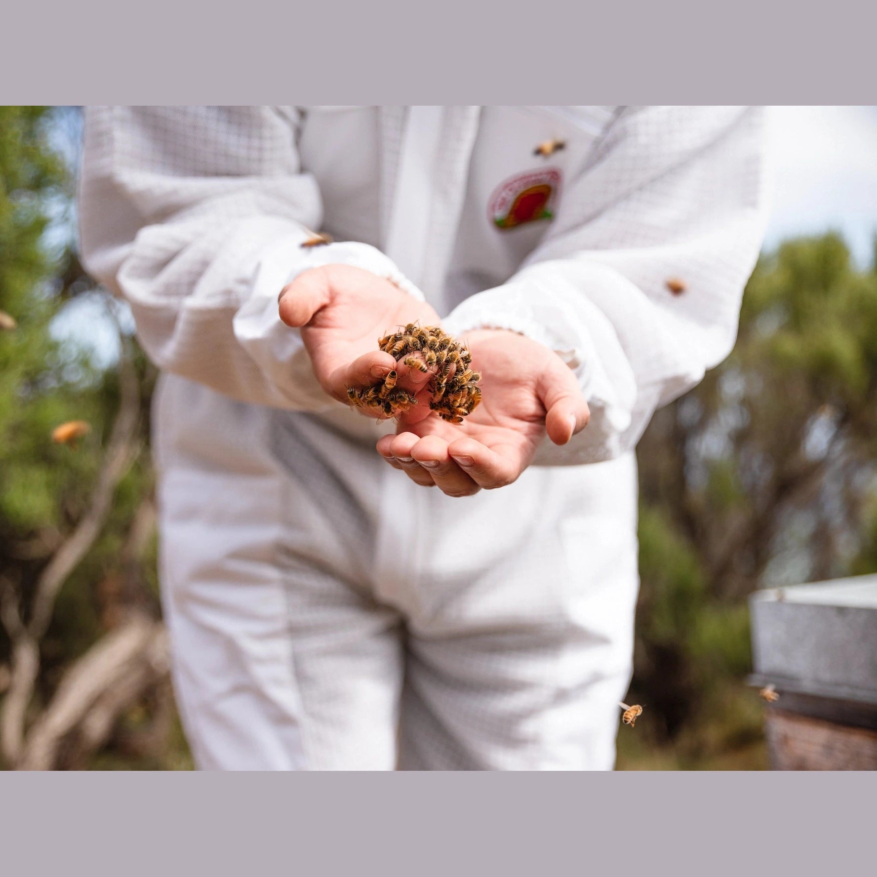 ANUK Manuka-honung MGO400